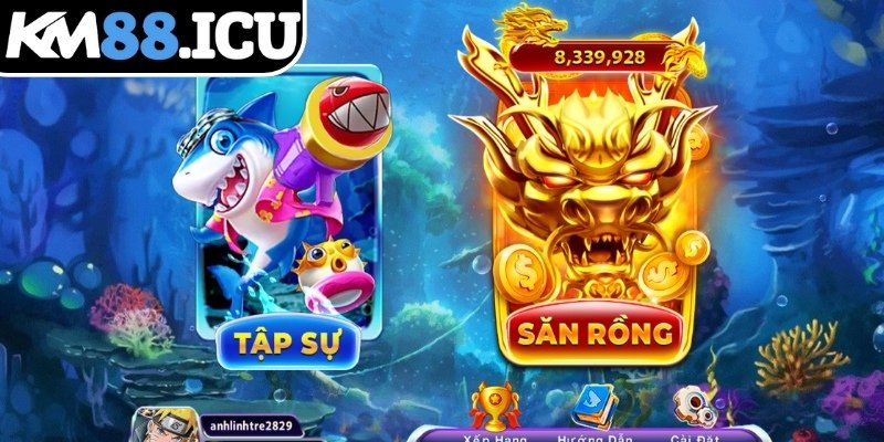 Phòng Trung Cấp - Cá dày hơn, boss xuất hiện theo chu kỳ